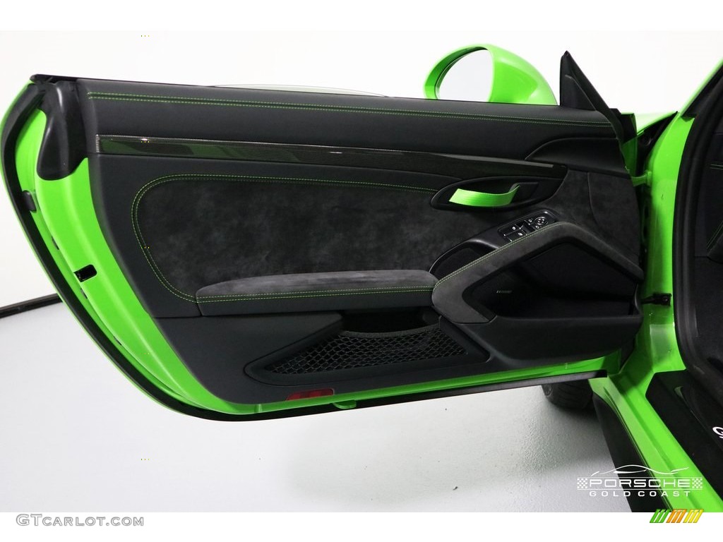2019 Porsche 911 GT3 RS Black/Lizard Green Door Panel Photo #133030155