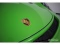 Lizard Green - 911 GT3 RS Photo No. 38