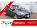 Magnetic - Fiesta SE Hatchback Photo No. 1