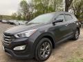 Platinum Graphite - Santa Fe Sport 2.4 AWD Photo No. 3