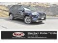 Blueprint 2019 Toyota RAV4 Limited AWD