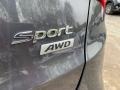 2015 Platinum Graphite Hyundai Santa Fe Sport 2.4 AWD  photo #8