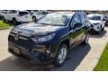 Midnight Black Metallic - RAV4 XLE Photo No. 1