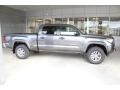 Magnetic Gray Metallic - Tacoma SR5 Double Cab Photo No. 9