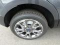 Smoke Metallic - EcoSport Titanium Photo No. 2