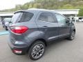 Smoke Metallic - EcoSport Titanium Photo No. 3