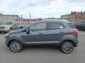 Smoke Metallic - EcoSport Titanium Photo No. 7