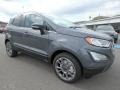 Smoke Metallic - EcoSport Titanium Photo No. 10