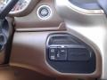 Mountain Brown/Light Frost Beige Controls Photo for 2019 Ram 3500 #133047461