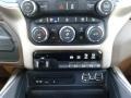 Mountain Brown/Light Frost Beige Controls Photo for 2019 Ram 3500 #133047482