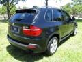 Black Sapphire Metallic - X5 3.0si Photo No. 9