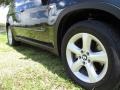 Black Sapphire Metallic - X5 3.0si Photo No. 22