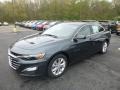 2019 Shadow Gray Metallic Chevrolet Malibu LT  photo #1