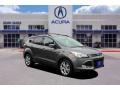 Sterling Gray Metallic 2013 Ford Escape SEL 1.6L EcoBoost