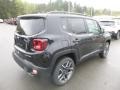 2019 Black Jeep Renegade Limited 4x4  photo #5