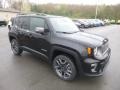 2019 Black Jeep Renegade Limited 4x4  photo #7