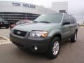 2007 Titanium Green Metallic Ford Escape XLT Sport  photo #1