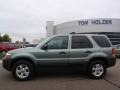 2007 Titanium Green Metallic Ford Escape XLT Sport  photo #2