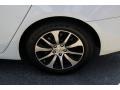 Bellanova White Pearl - TLX 2.4 Photo No. 14