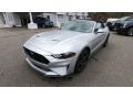 2019 Ingot Silver Ford Mustang GT Premium Convertible  photo #3
