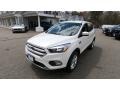 2019 White Platinum Ford Escape SE 4WD  photo #3