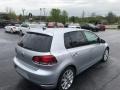 Reflex Silver Metallic - Golf 4 Door TDI Photo No. 6