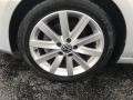 Reflex Silver Metallic - Golf 4 Door TDI Photo No. 25