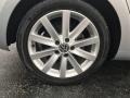 Reflex Silver Metallic - Golf 4 Door TDI Photo No. 27
