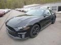2019 Shadow Black Ford Mustang GT Premium Fastback  photo #5