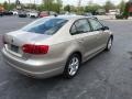 Moonrock Silver Metallic - Jetta TDI Sedan Photo No. 6