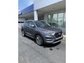 Magnetic Force Metallic - Tucson SEL AWD Photo No. 2
