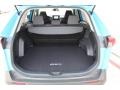 Blue Flame - RAV4 XLE Photo No. 13
