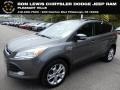 Sterling Gray Metallic 2013 Ford Escape SEL 2.0L EcoBoost 4WD