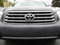 Magnetic Gray Metallic - Highlander 4WD Photo No. 13