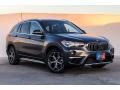 Mineral Grey Metallic 2019 BMW X1 sDrive28i Exterior