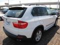 Alpine White - X5 4.8i Photo No. 13