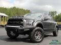 Magnetic 2019 Ford F150 Shelby BAJA Raptor SuperCrew 4x4