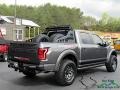 Magnetic 2019 Ford F150 Shelby BAJA Raptor SuperCrew 4x4 Exterior