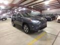Magnetic Gray Metallic - RAV4 Limited AWD Hybrid Photo No. 1