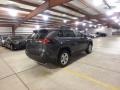 Magnetic Gray Metallic - RAV4 XLE AWD Hybrid Photo No. 2