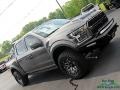 2019 Magnetic Ford F150 Shelby BAJA Raptor SuperCrew 4x4  photo #37