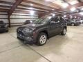 Magnetic Gray Metallic - RAV4 XLE AWD Hybrid Photo No. 4