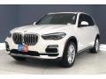 Alpine White - X5 xDrive40i Photo No. 11