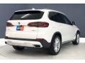 Alpine White - X5 xDrive40i Photo No. 29