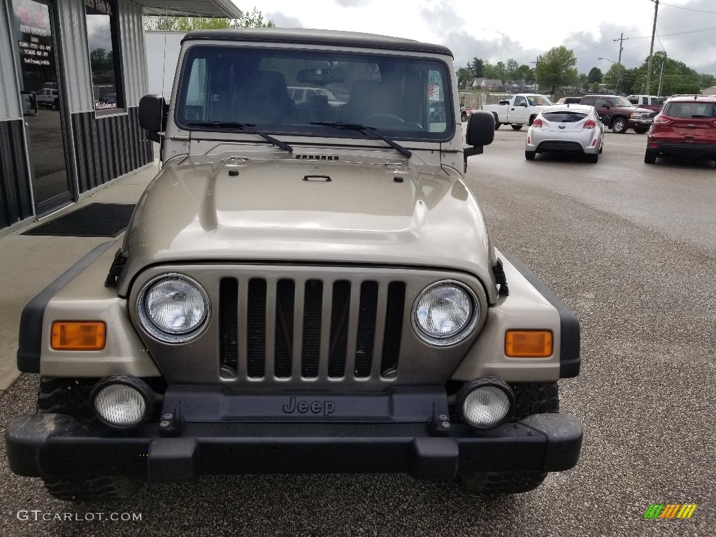 2004 Wrangler Unlimited 4x4 - Light Khaki Metallic / Dark Slate Gray photo #7