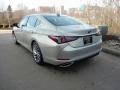 Moonbeam Beige Metallic - ES 350 Photo No. 4
