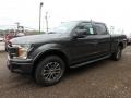 2019 Magnetic Ford F150 XLT SuperCrew 4x4  photo #6