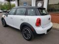 Light White - Countryman Cooper Photo No. 31