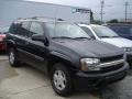 Black - TrailBlazer LS 4x4 Photo No. 2