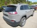 Sting-Gray - Cherokee Latitude Plus 4x4 Photo No. 5